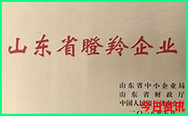 慈溪一日游必去景点